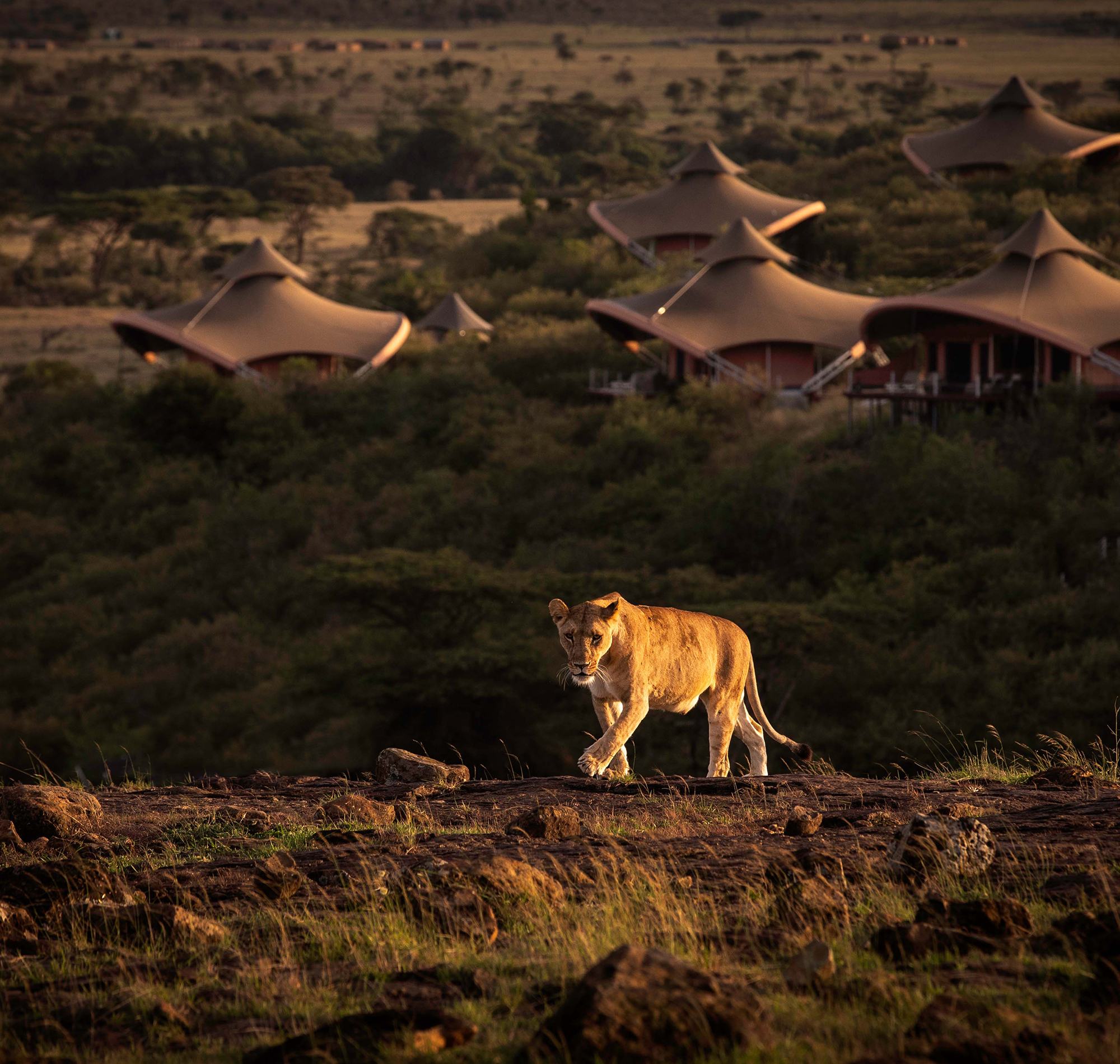 Mahali Mzuri, Kenya